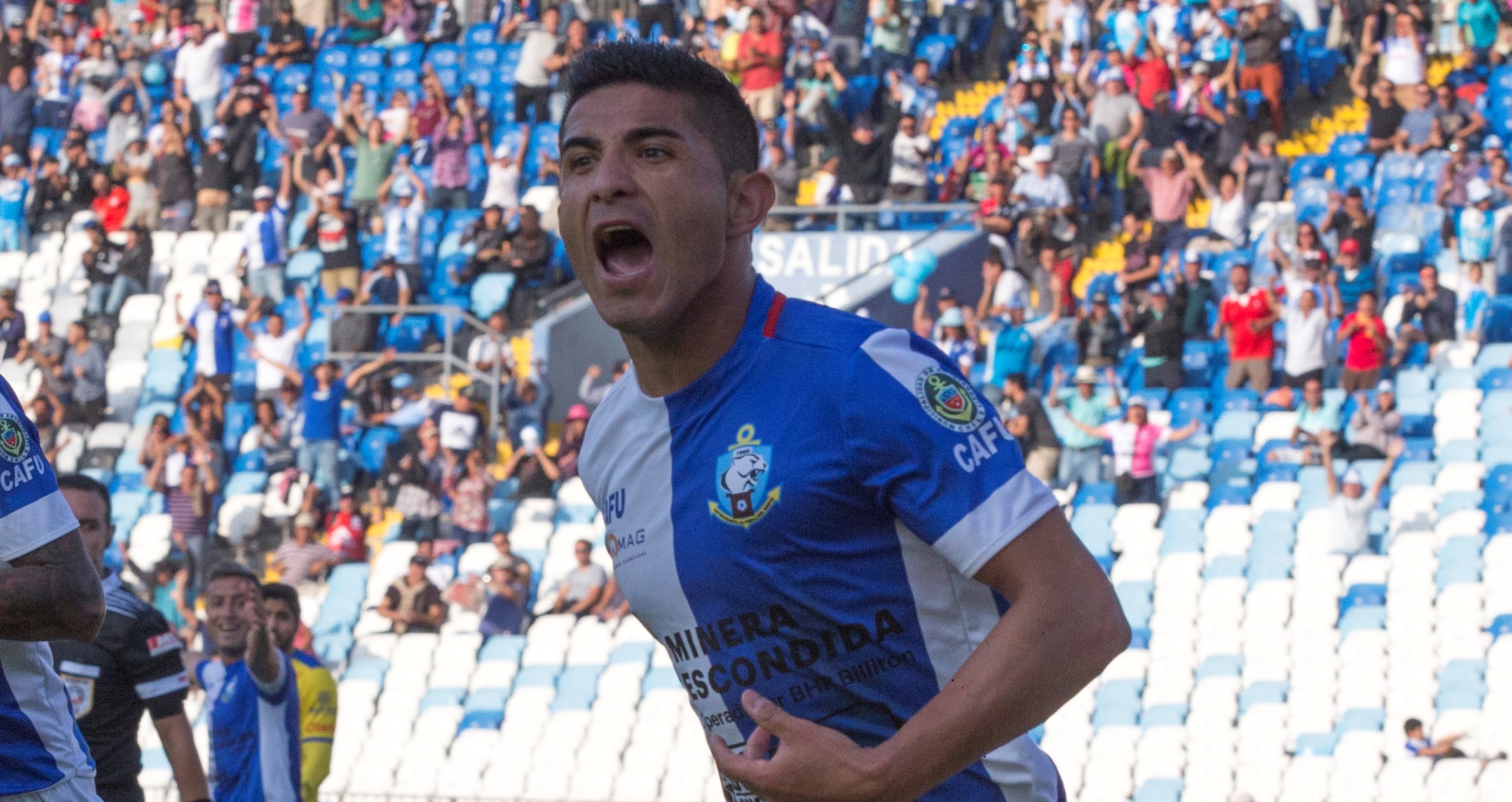 De La Casa de Papel a Bajo Sospecha: Las recomendaciones de Felipe Flores para pasar la cuarentena