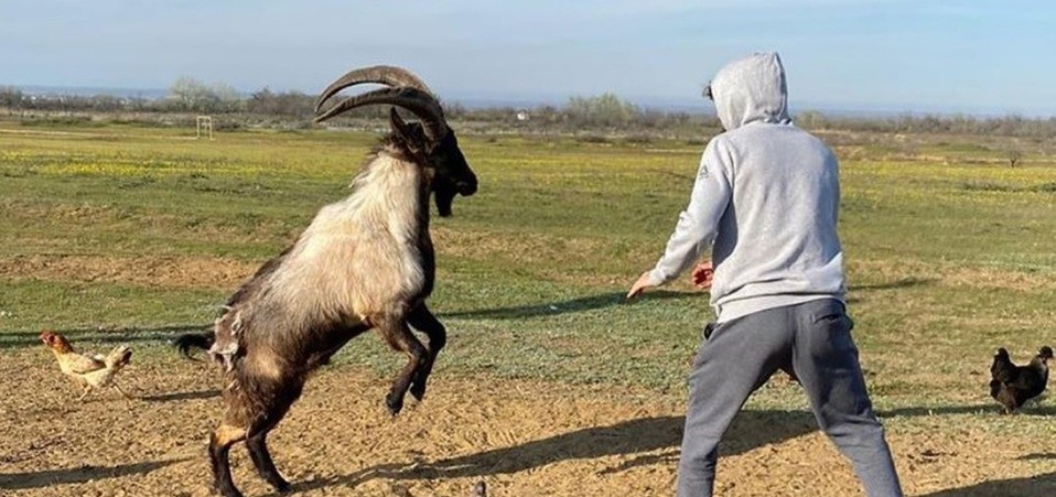 Luchador de UFC desató controversia al compartir en redes sociales su “pelea” contra una cabra