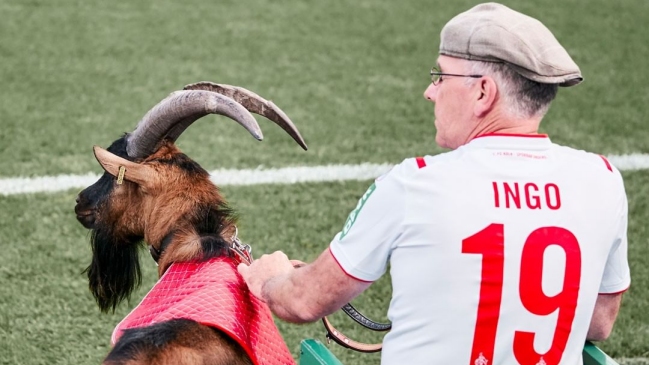 Cabra de FC Colonia se perderá su primer partido en 12 años por el coronavirus