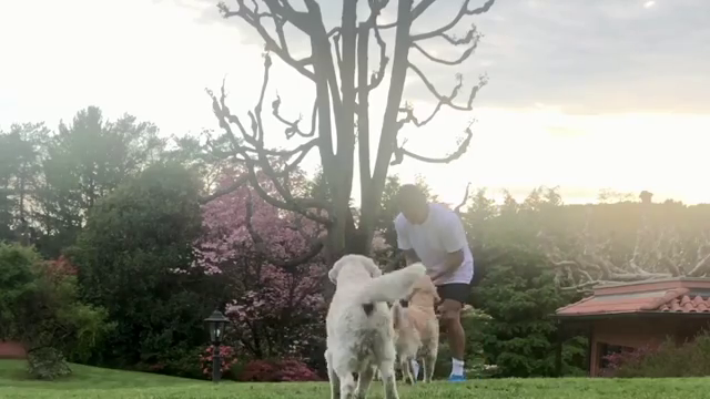 Con Ed Sheeran y Boccelli de fondo: La “Sinfonía Perfecta” de Alexis con Atom y Humber