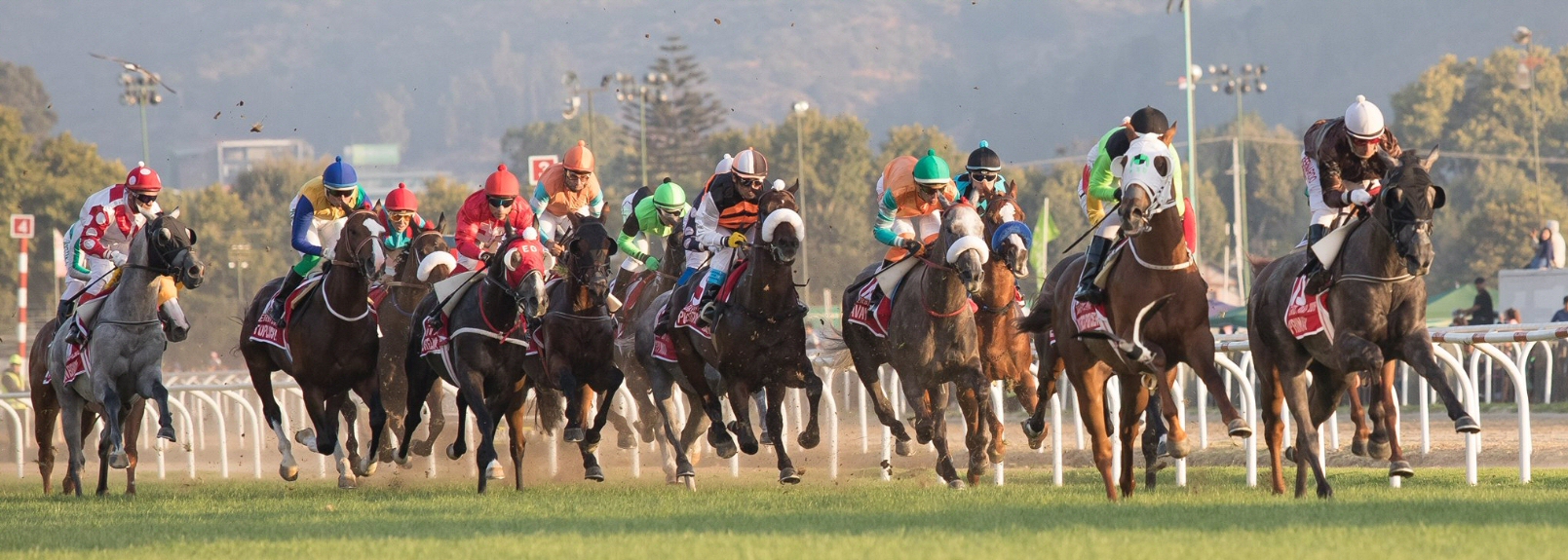 Valparaíso Sporting anunció regreso de la hípica “sin público general”