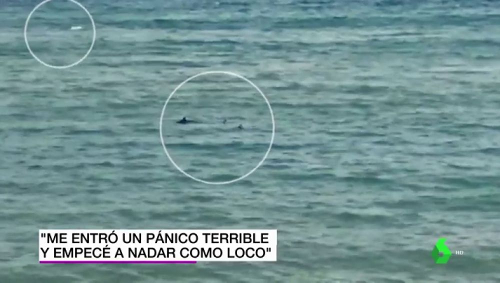 ¡Momento extremo! Nadador paralímpico huyó del acecho de dos tiburones