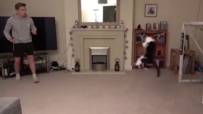 “Miaunuel Neuer”: Sensacional gato arquero se robó la atención de Bayern Munich