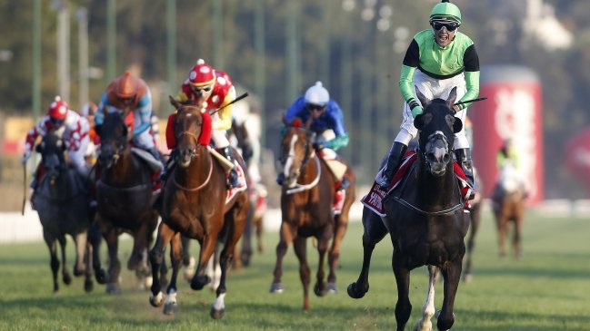 Este jueves vuelve la actividad al club hípico Valparaíso Sporting de Viña del Mar