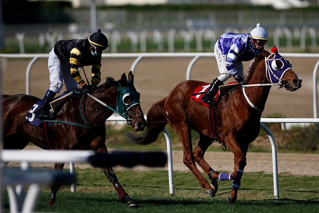 Jinetes con mascarilla: Así fue el retorno de la hípica al Valparaíso Sporting Club
