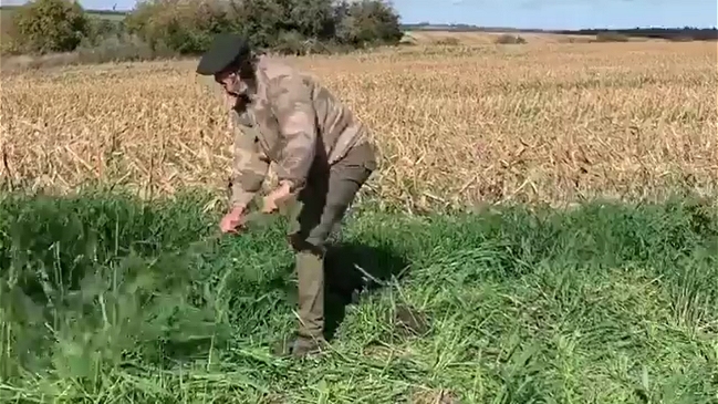 Edinson Cavani pasa la cuarentena con un curioso oficio en Uruguay