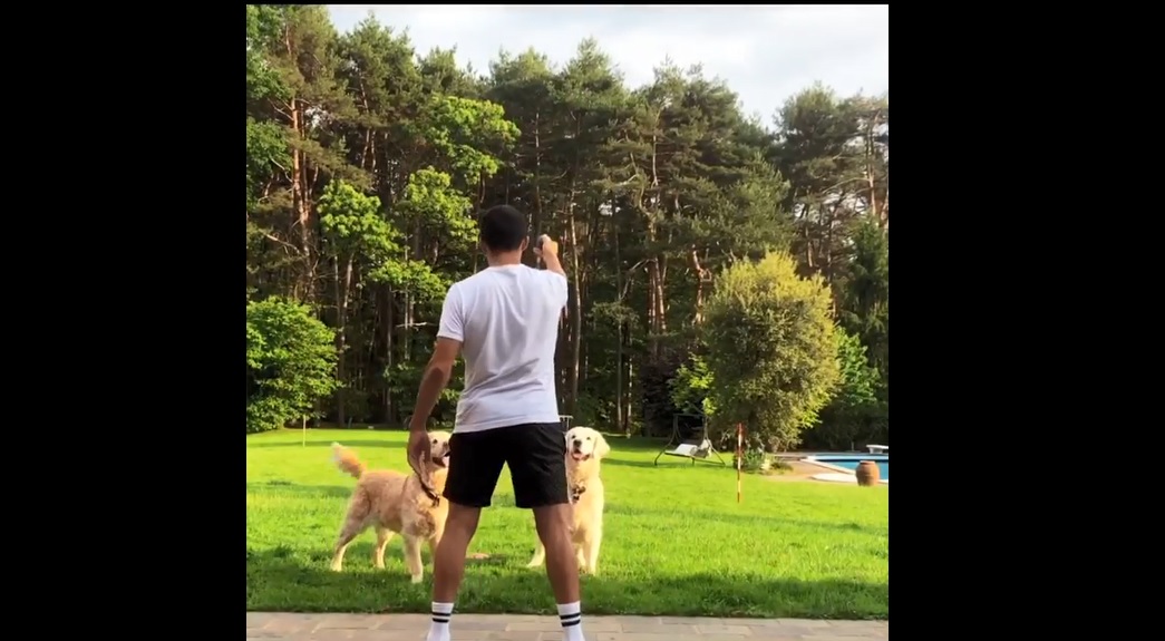 Alexis Sánchez disfruta jugando con Atom y Humber de cara al retorno del fútbol en Italia