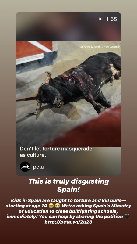 Lewis Hamilton evidenció su rechazo a las corridas de toro con una dura publicación