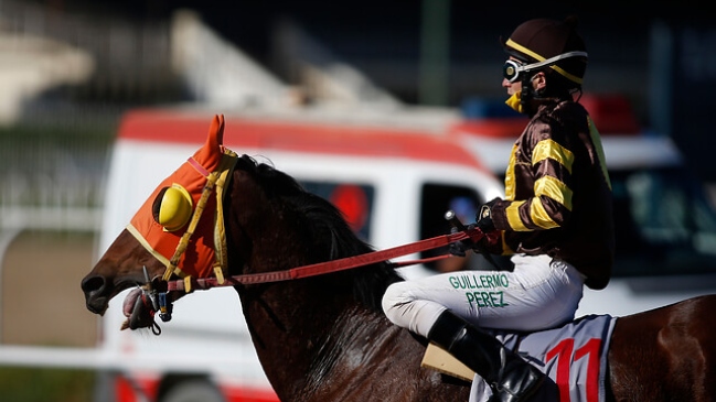 Sindicato de Jockeys: Hay jinetes que están en situación crítica