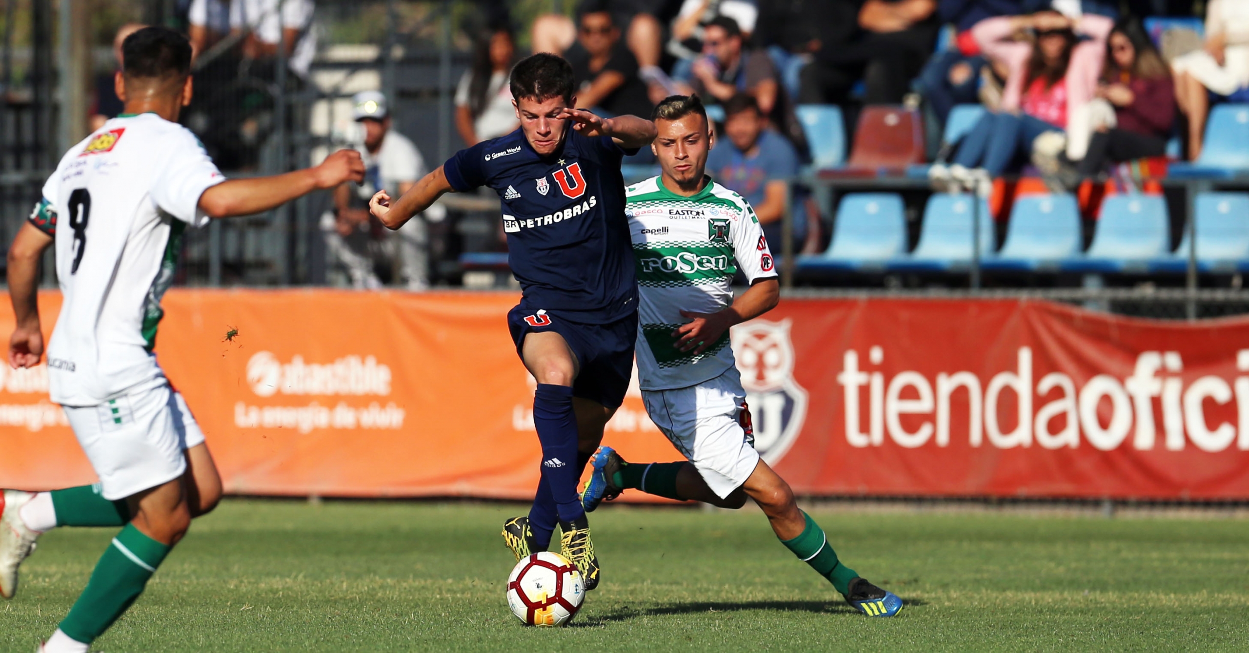 Formación en crisis: Los problemas del fútbol joven por la pandemia