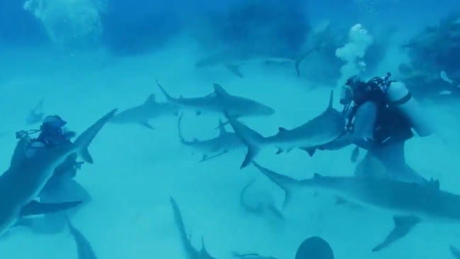 Mike Tyson se enfrentó a un tiburón antes de su regreso al ring