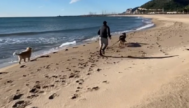 ¿En Barcelona? Alexis Sánchez disfruta junto a Atom y Humber en las playas del Mediterráneo