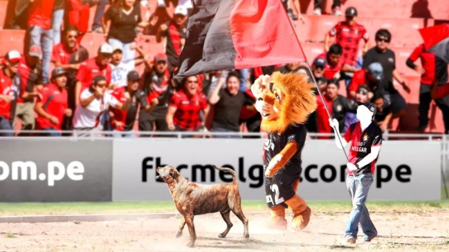 Melgar de Perú lamentó el fallecimiento de su incondicional mascota “Scooby”