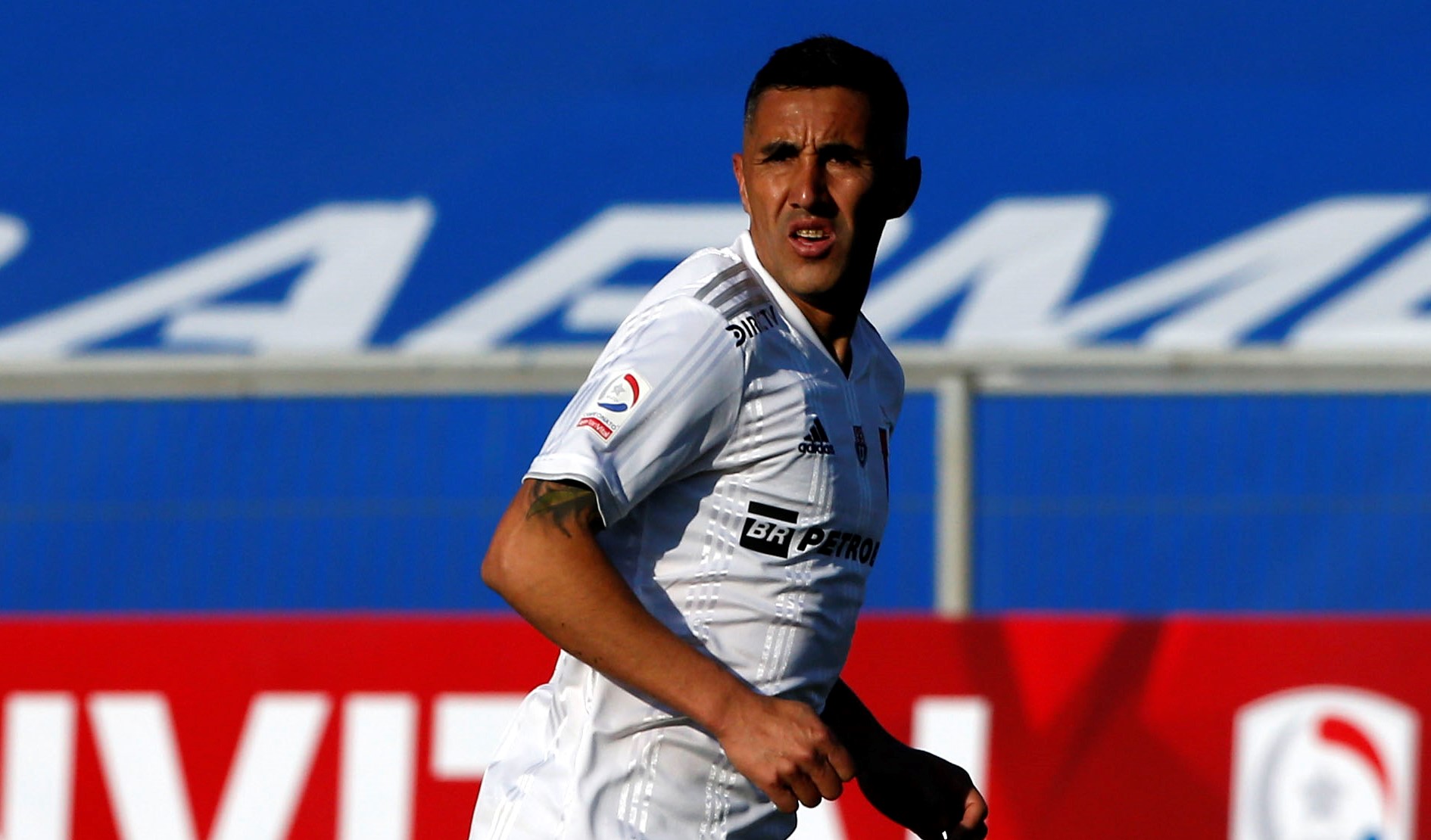 “En la ruta del León”: La U busca refuerzos… ¿Llega Marcelo Cañete?