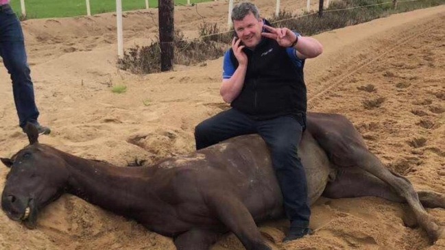 Entrenador hípico generó una polémica mayor tras posar sobre un caballo muerto