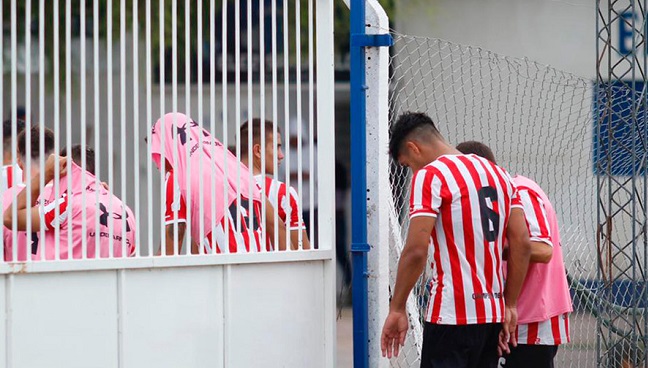 Partido en Argentina tuvo que ser suspendido por invasión de abejas