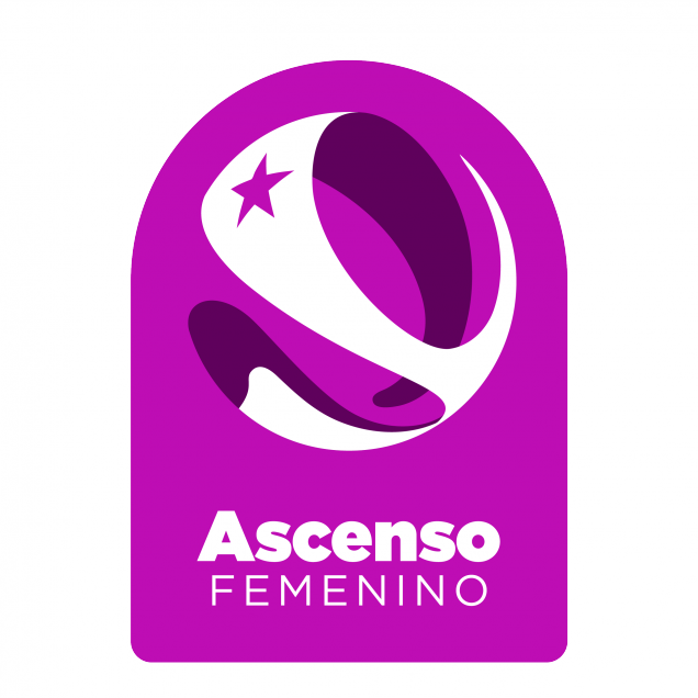 Las gráficas que acompañarán a los torneos del fútbol chileno