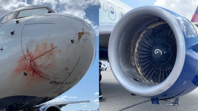 Avión de Utah Jazz tuvo que aterrizar de emergencia tras embestir una bandada de pájaros