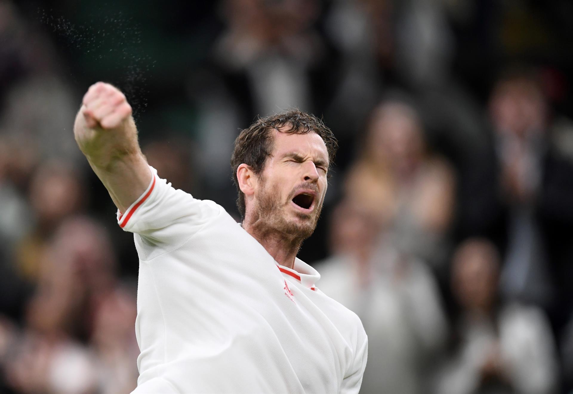Andy Murray volvió a ganar en Wimbledon después de cuatro años