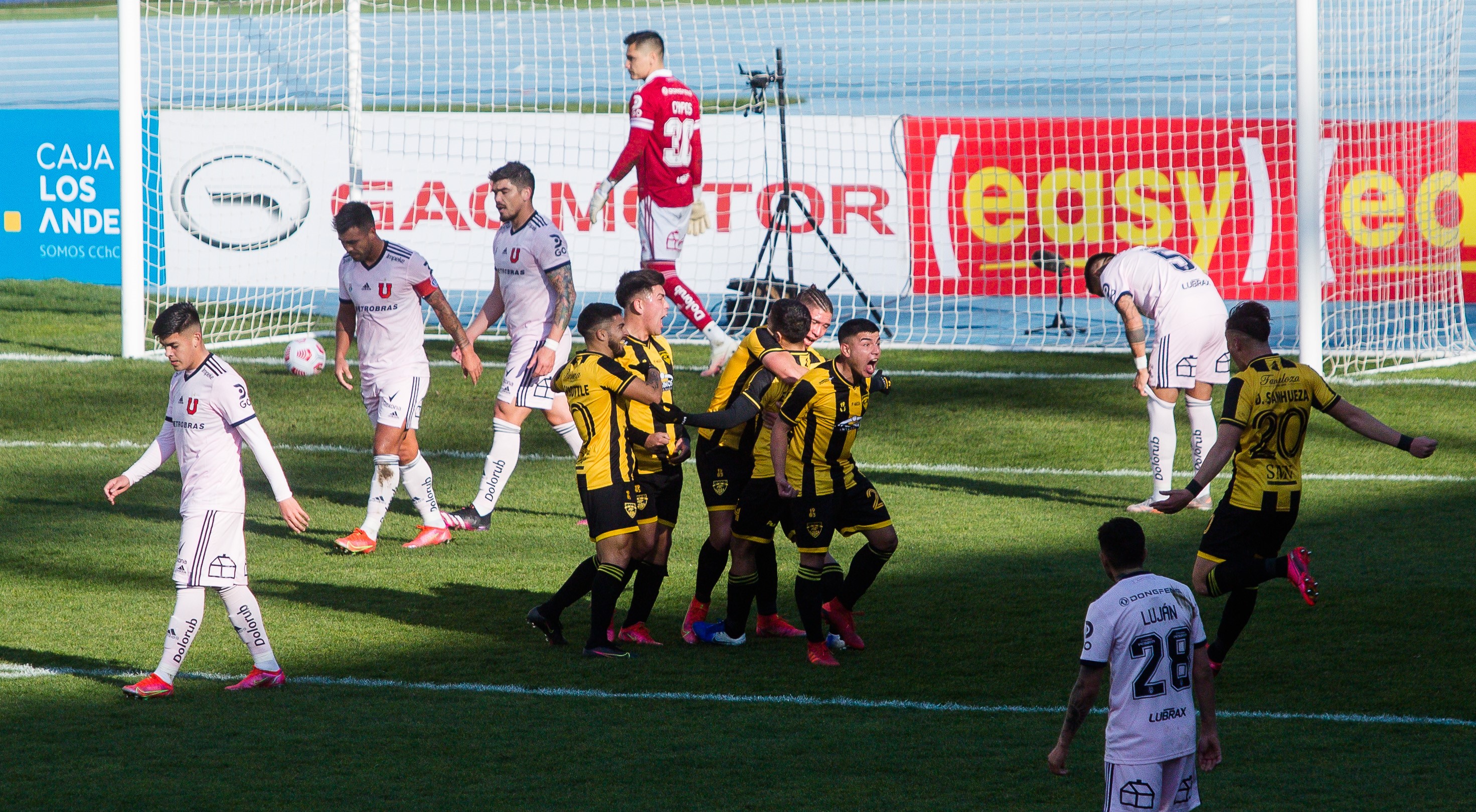 “En la ruta del León”: El remezón que sufrió la U tras quedar fuera de la Copa Chile