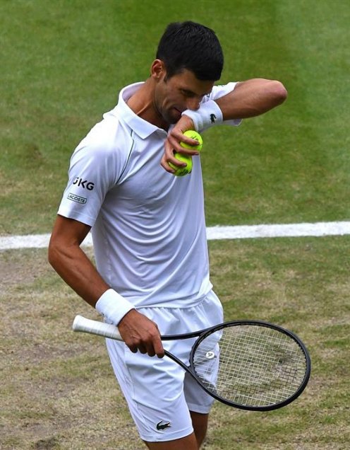 Novak Djokovic derribó a Denis Shapovalov y buscará su vigésimo título de Gran Slam