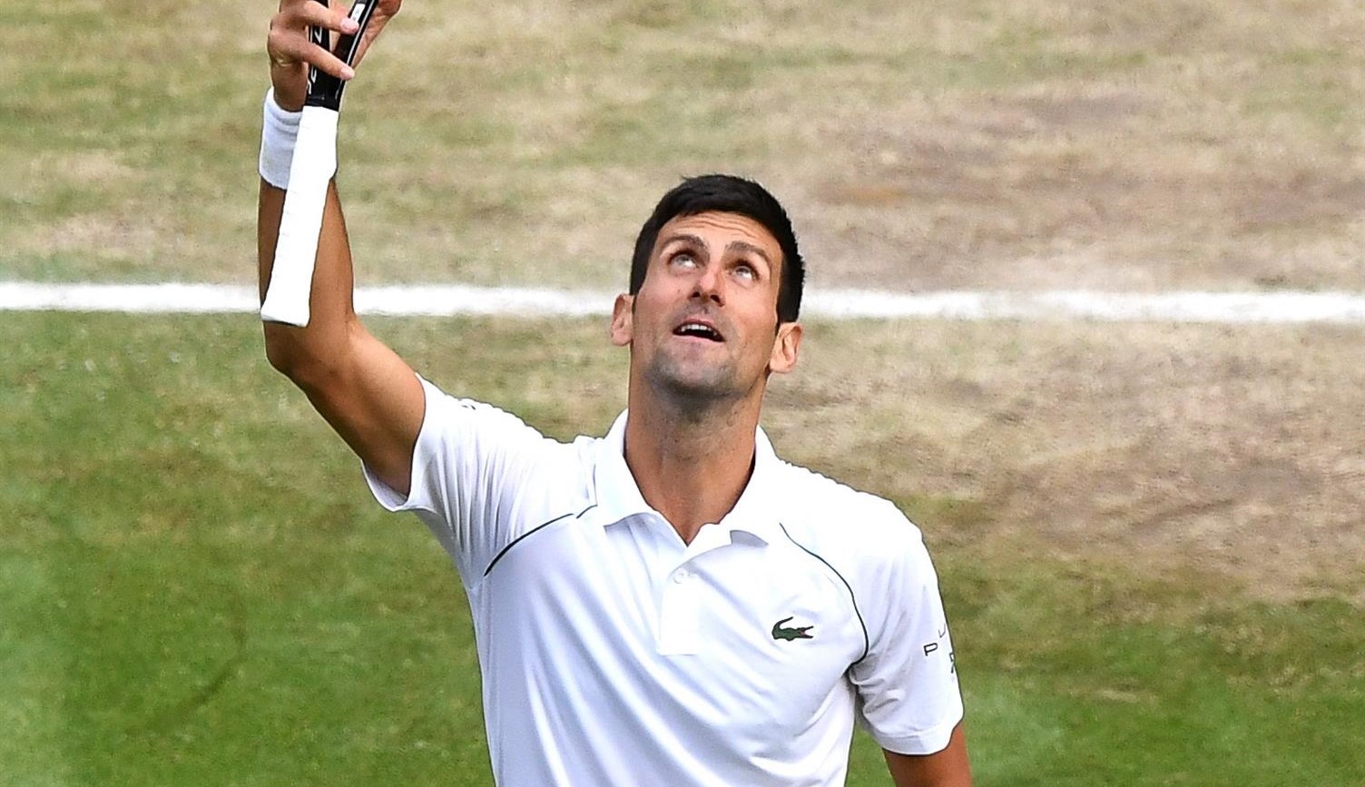 “Saque y Red”: Djokovic y Berrettini se citaron para la final de Wimbledon