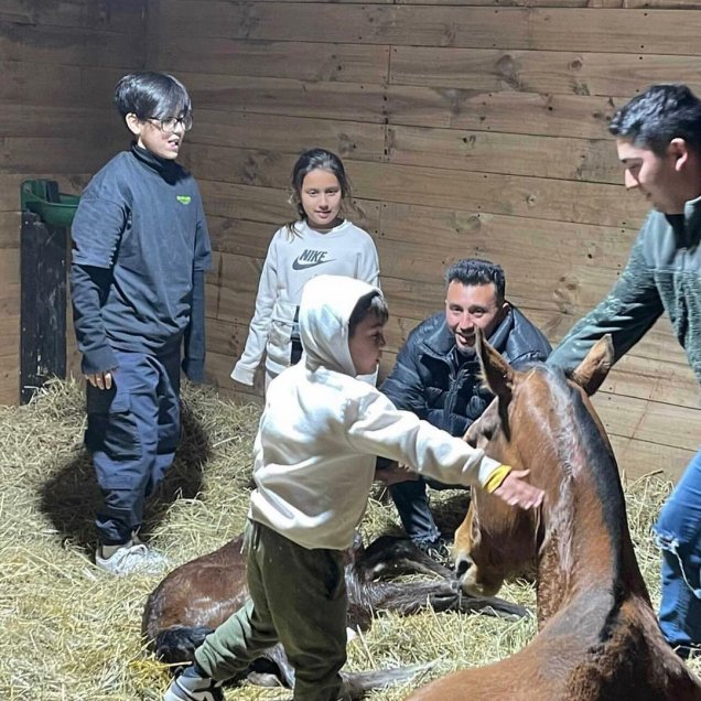 Hijos de Arturo Vidal presenciaron parto de una yegua de cría en el Haras Il Campione