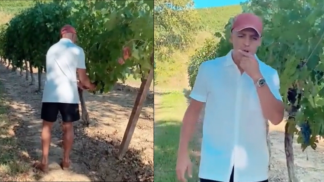 Alexis dio un paseo entre viñedos en medio de su recuperación “acompañado” de Maluma