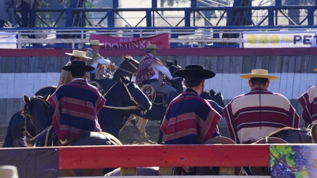 Federación del Rodeo: Nuestros reglamentos resguardan el bienestar animal y sancionan el maltrato