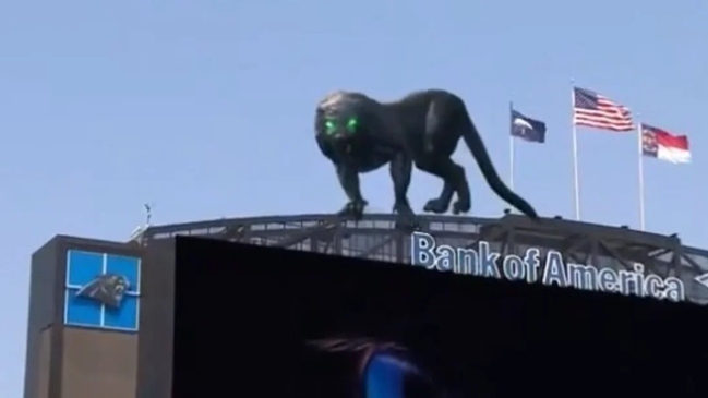 Una pantera suelta en el estadio: El impactante holograma que se vio en la NFL