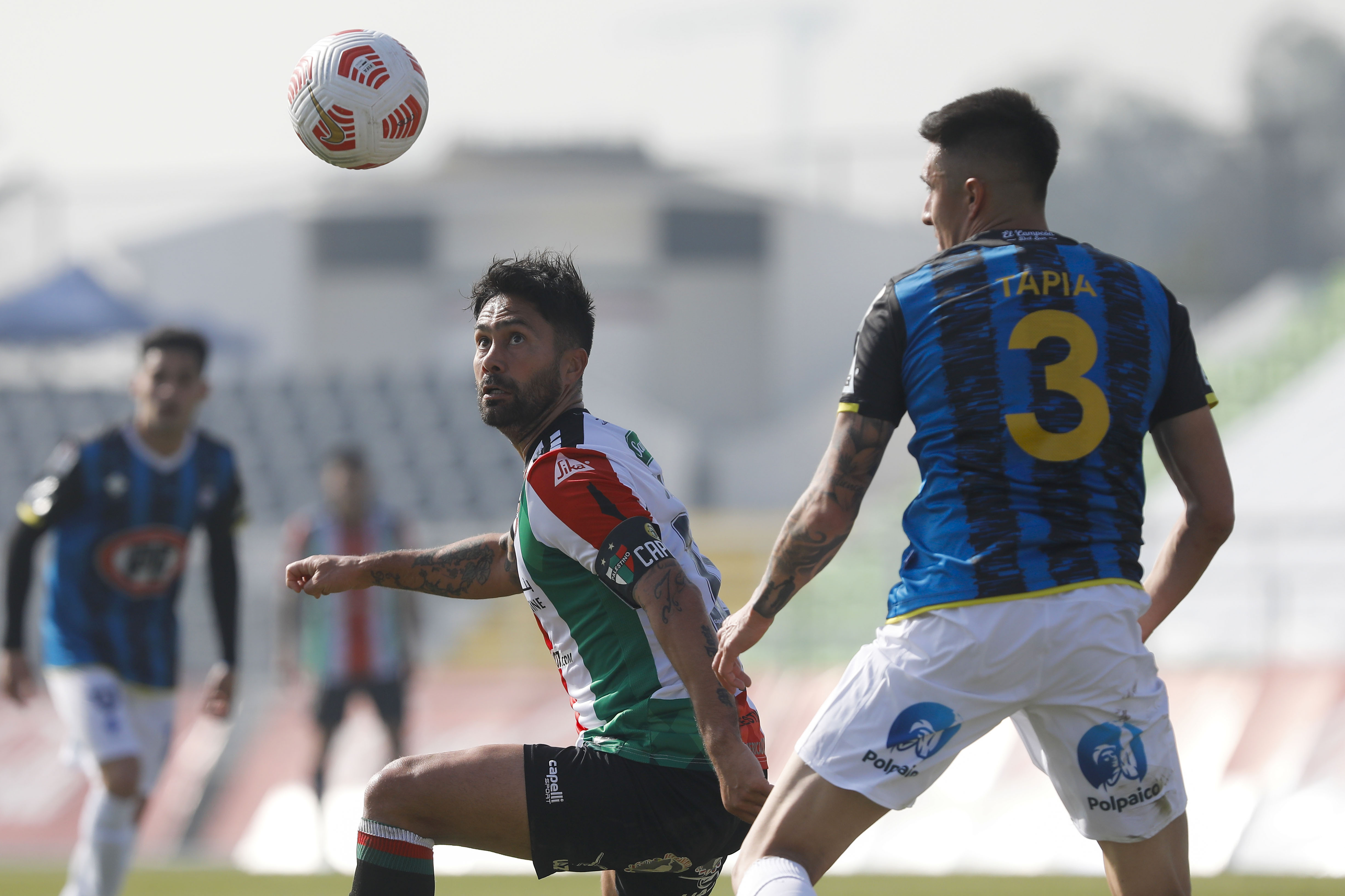 Huachipato y Palestino abren con duelo de necesitados la fecha 22 del Campeonato Nacional