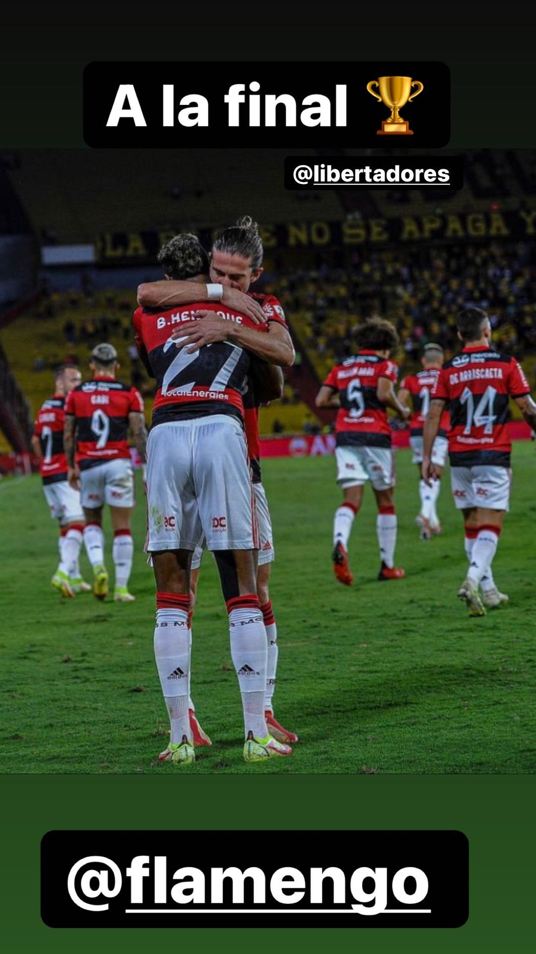 Arturo Vidal celebró el paso de Flamengo a la final de Copa Libertadores