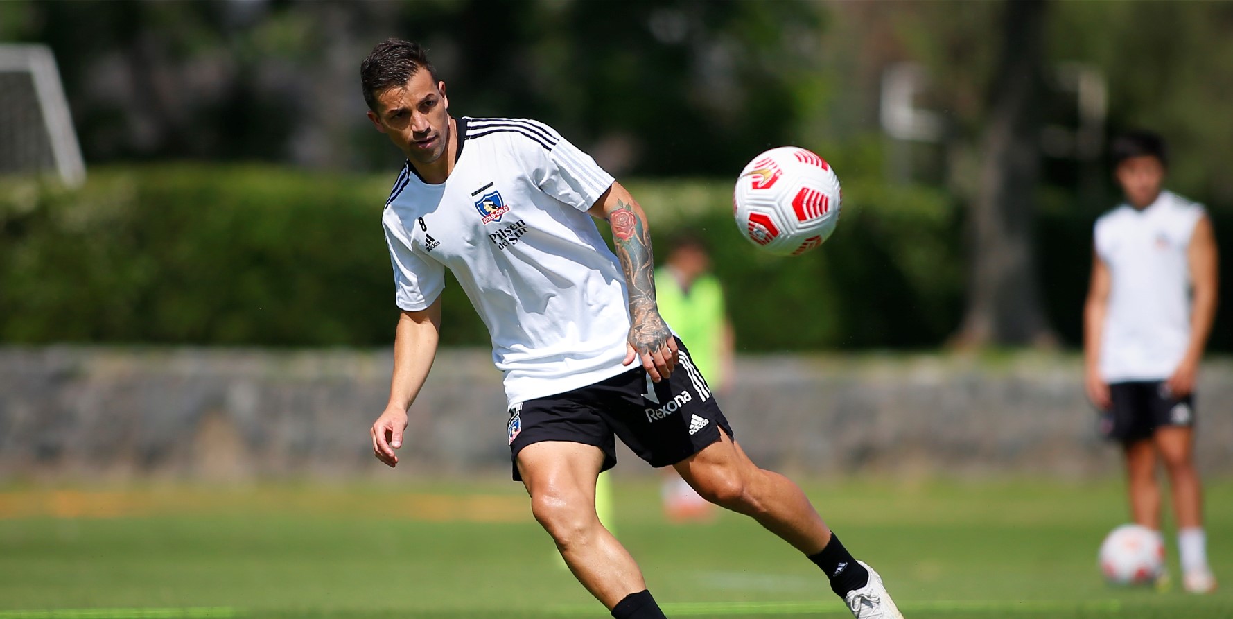 “Chilealbo”: Colo Colo retornó a entrenar para preparar el crucial duelo con Santiago Wanderers