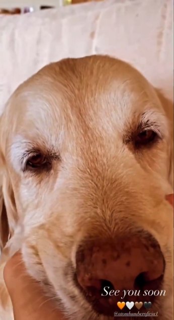 Alexis Sánchez se inspiró en sus perros para un nuevo día de concentración en La Roja