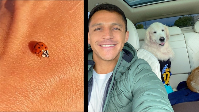 Una chinita, Michael Bublé y David Bisbal: La “artística” publicación de Alexis