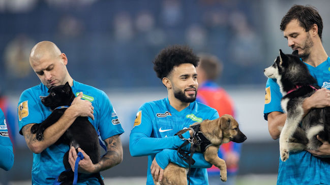 Jugadores de Zenit salieron a la cancha con distintos perros para fomentar la adopción