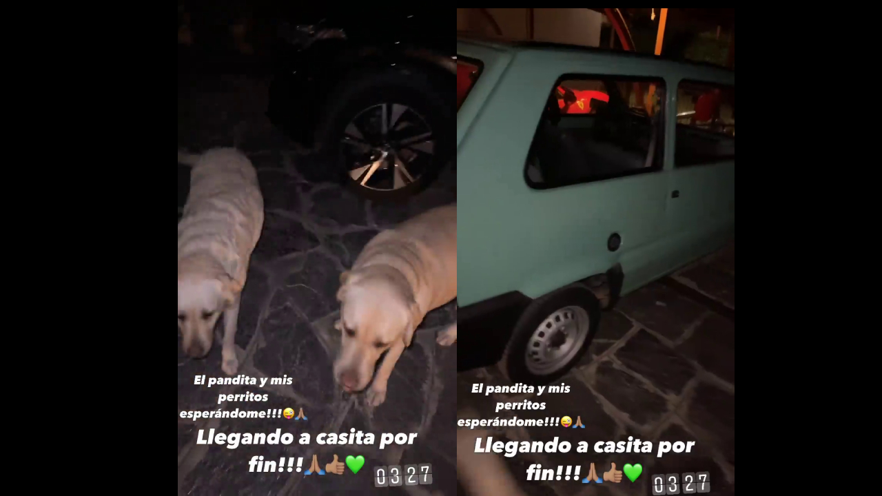 “El pandita y mis perritos”: La alegría de Vidal en su regreso a casa en Italia