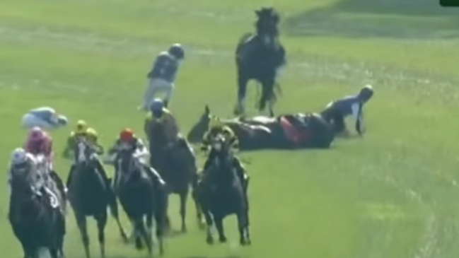 Escalofriante accidente en la hípica: Tres jinetes resultaron heridos y dos caballos fueron sacrificados