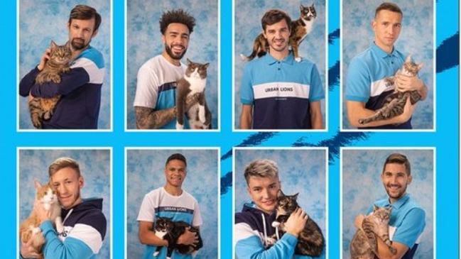 El tierno calendario que armó el plantel de Zenit St. Petersburg con lindos gatitos