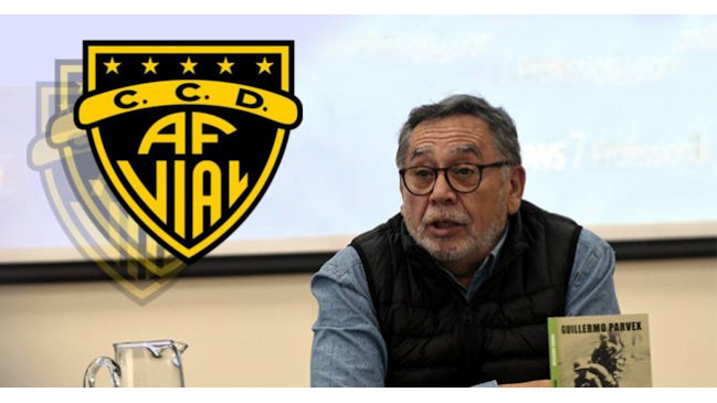 Fernández Vial canceló proyecto literario que contaba con escritor vinculado a la CNI