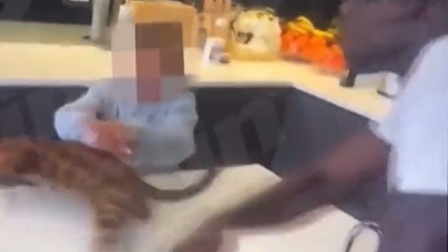 Organización británica protectora de animales le quitó dos gatos a Kurt Zouma por patearlos