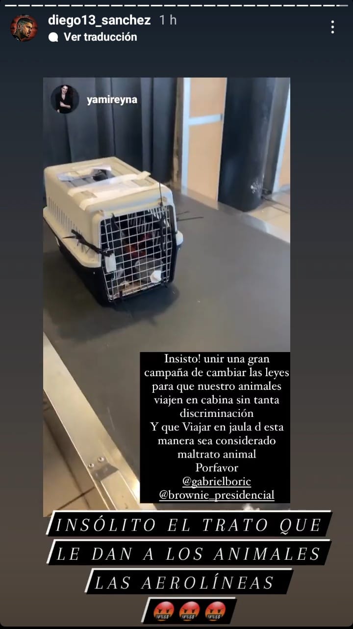 Diego Sánchez criticó trato a los animales en las aerolíneas