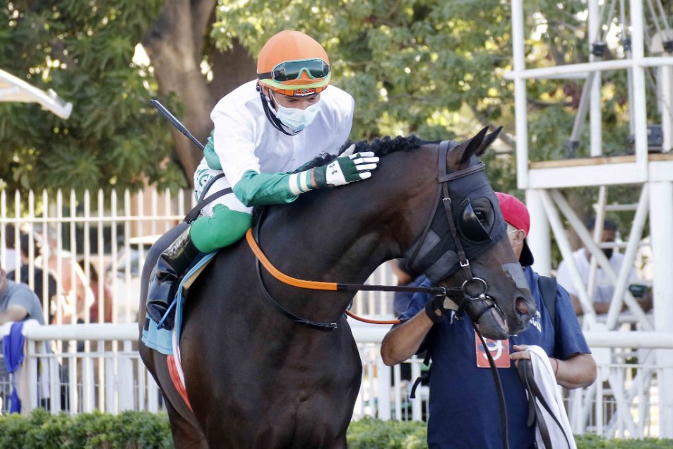 Los mejores caballos del continente se alistan para el Latinoamericano a correrse en el Hipódromo Chile