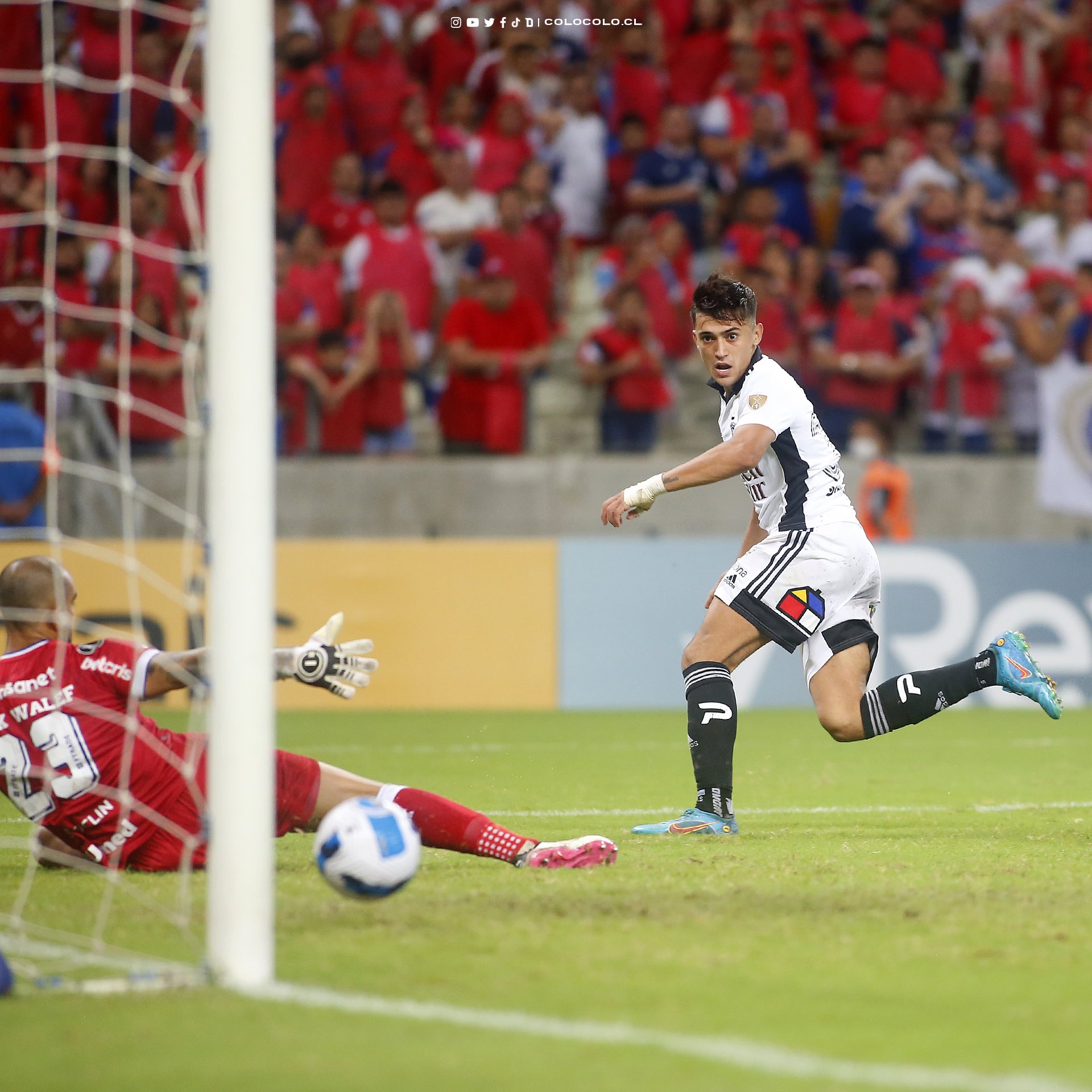 Pablo Solari desató la locura y anotó el segundo de Colo Colo ante Fortaleza en Copa Libertadores