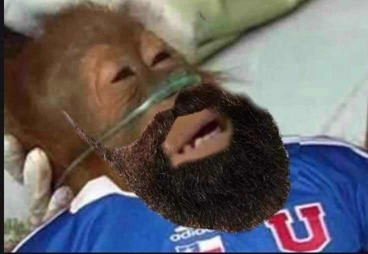 Los memes que dejaron las derrotas de la U y la UC en la jornada sabatina del Campeonato