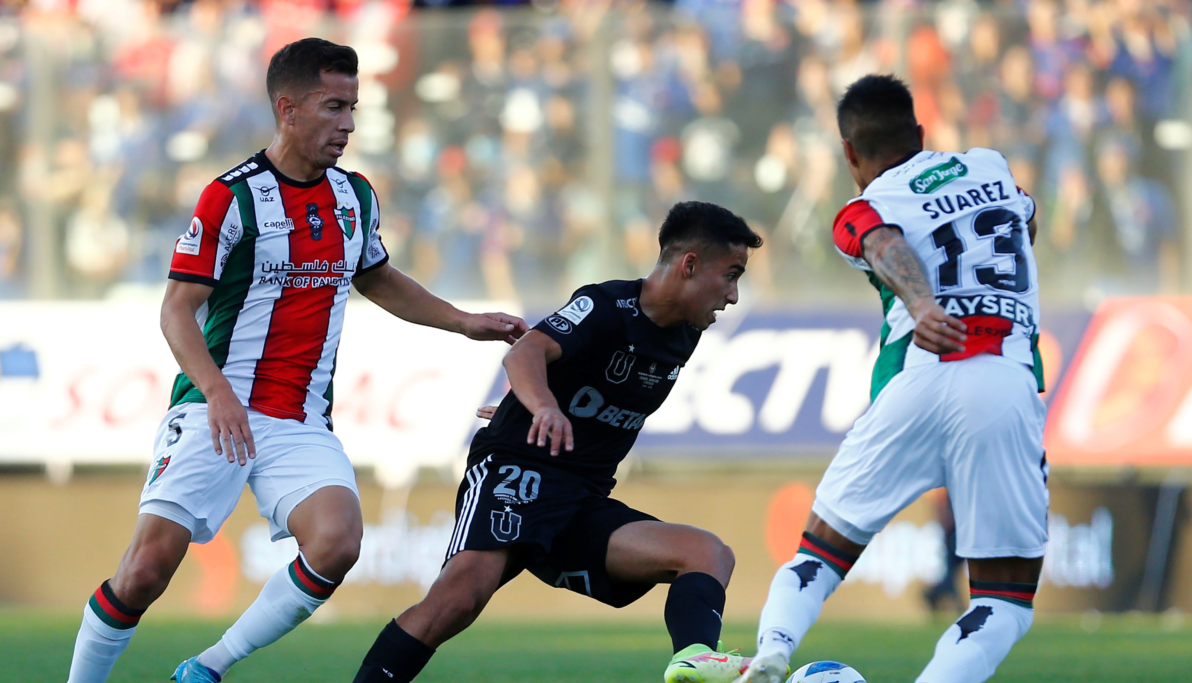 “En la ruta del León”: Los ecos del sufrido empate de la U ante Palestino