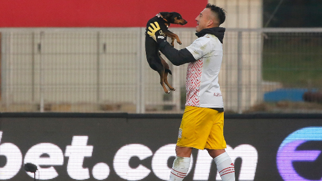 Fabián Cerda y Renato González contaron sus secretos como “encantadores de perros”