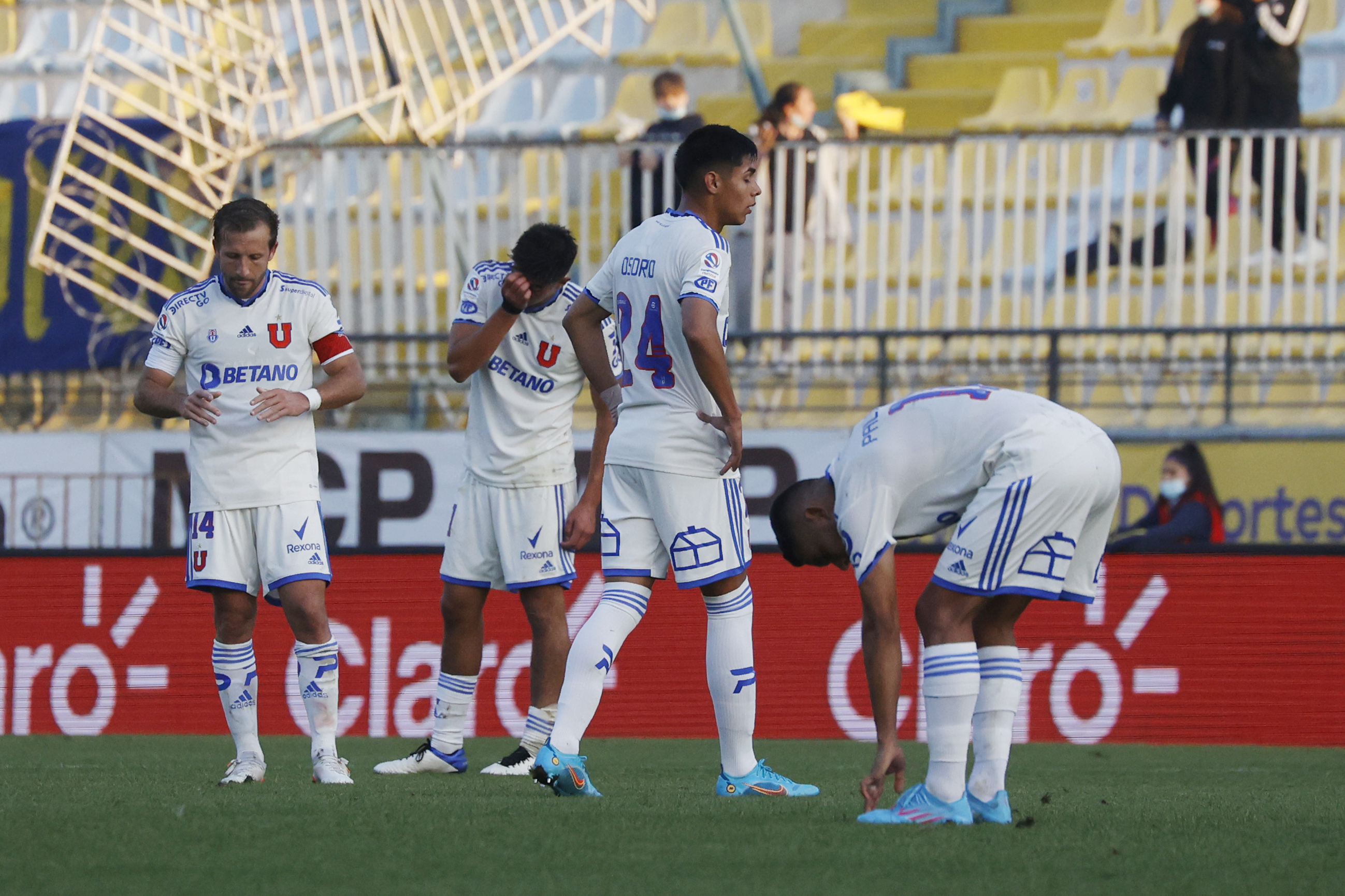 “En la ruta del León”: La U piensa en Huachipato tras la amarga caída con Everton