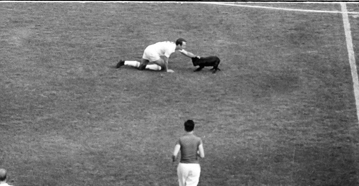 Mundial de 1962: El día que Garrincha tomó las riendas brasileñas y un perrito se coló a la cancha
