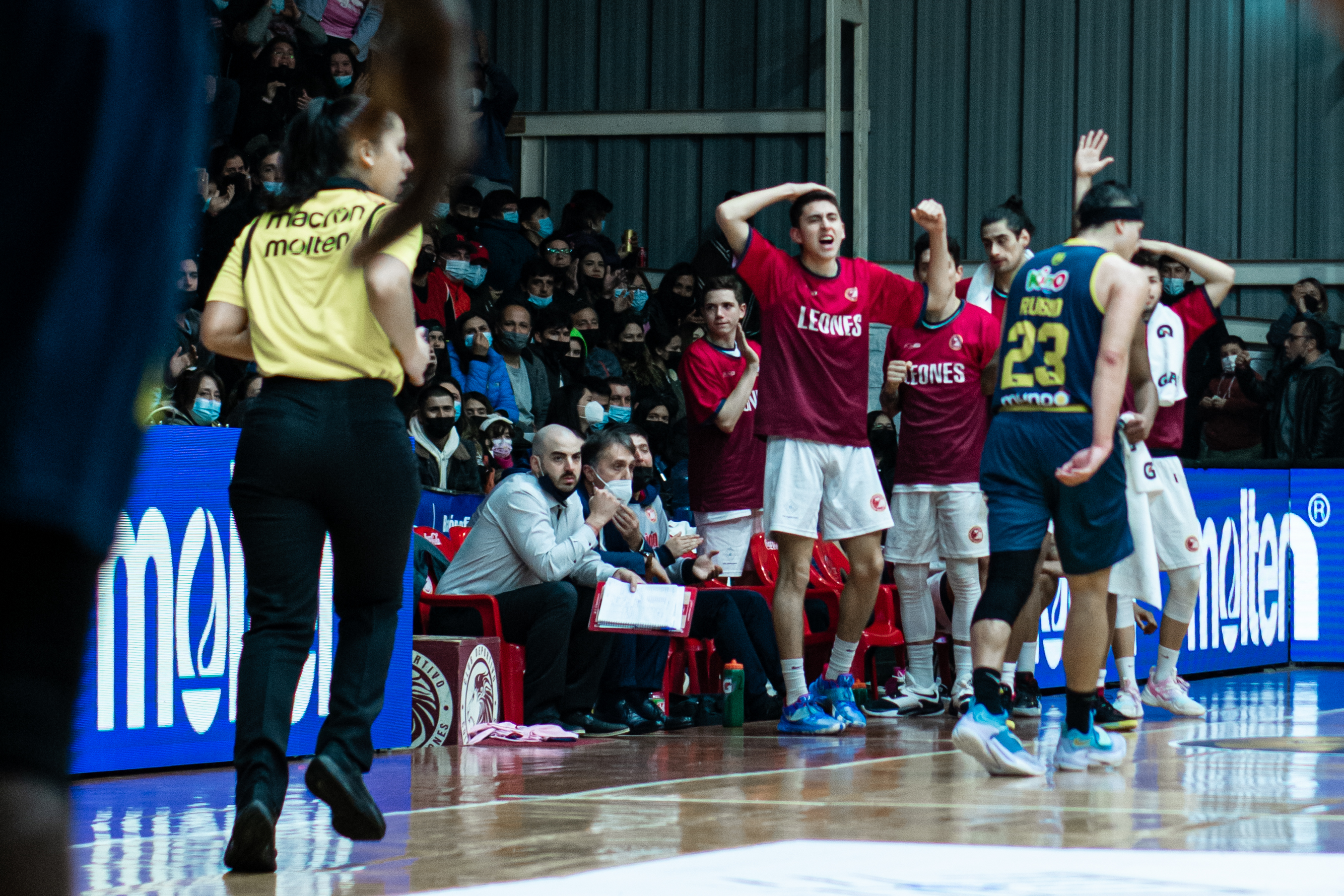 Leones Quilpué derribó a Universidad de Concepción e igualó la serie en las Finales de la LNB